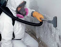 Forensic Mold Investigation in Aromas, CA